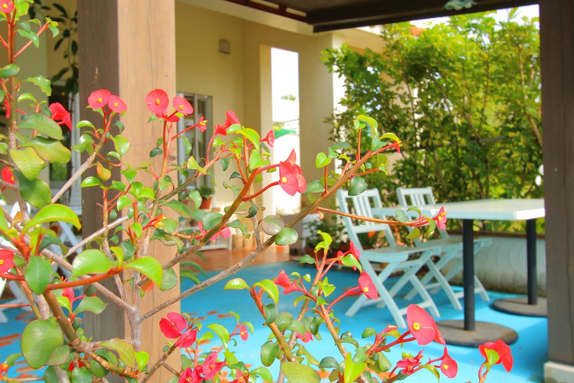 Pension Ipe นาโงะ ภายนอก รูปภาพ